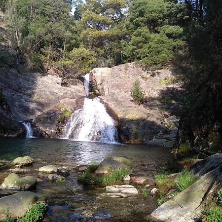 Willa Casas Do Pedro T1 Vila Praia de Âncora Zewnętrze zdjęcie